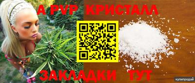 spice Нальчик