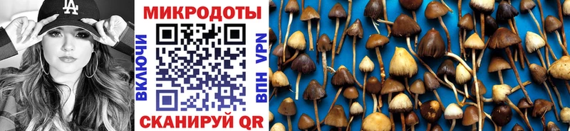 купить наркотики цена  Урюпинск  Псилоцибиновые грибы мицелий 