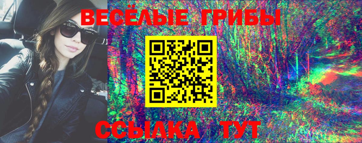 Галлюциногенные грибы прущие грибы  Вход с VPN  Урюпинск 