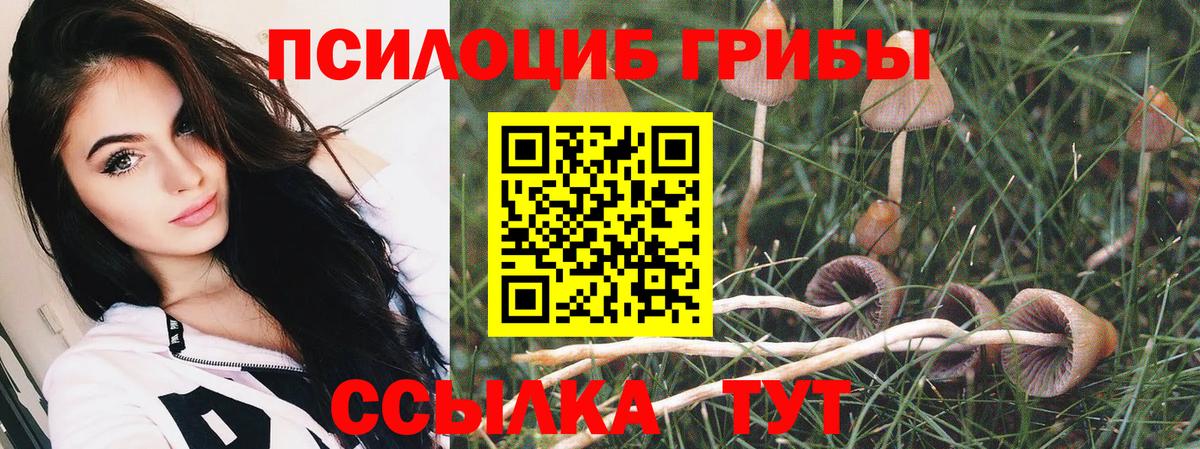 Псилоцибиновые грибы мицелий Урюпинск
