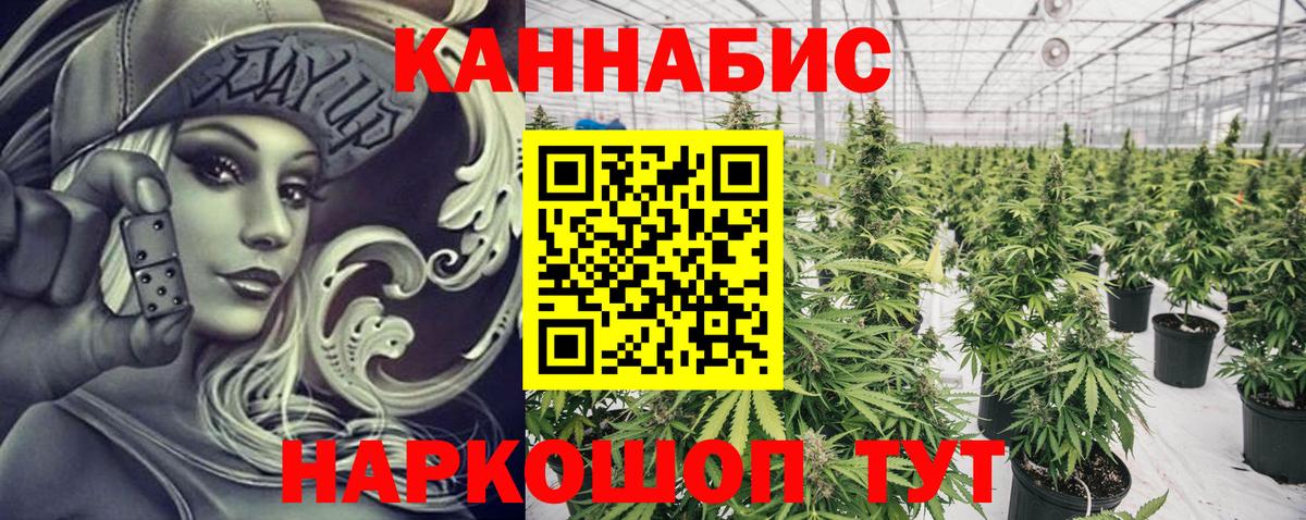 Бошки Шишки план Урюпинск